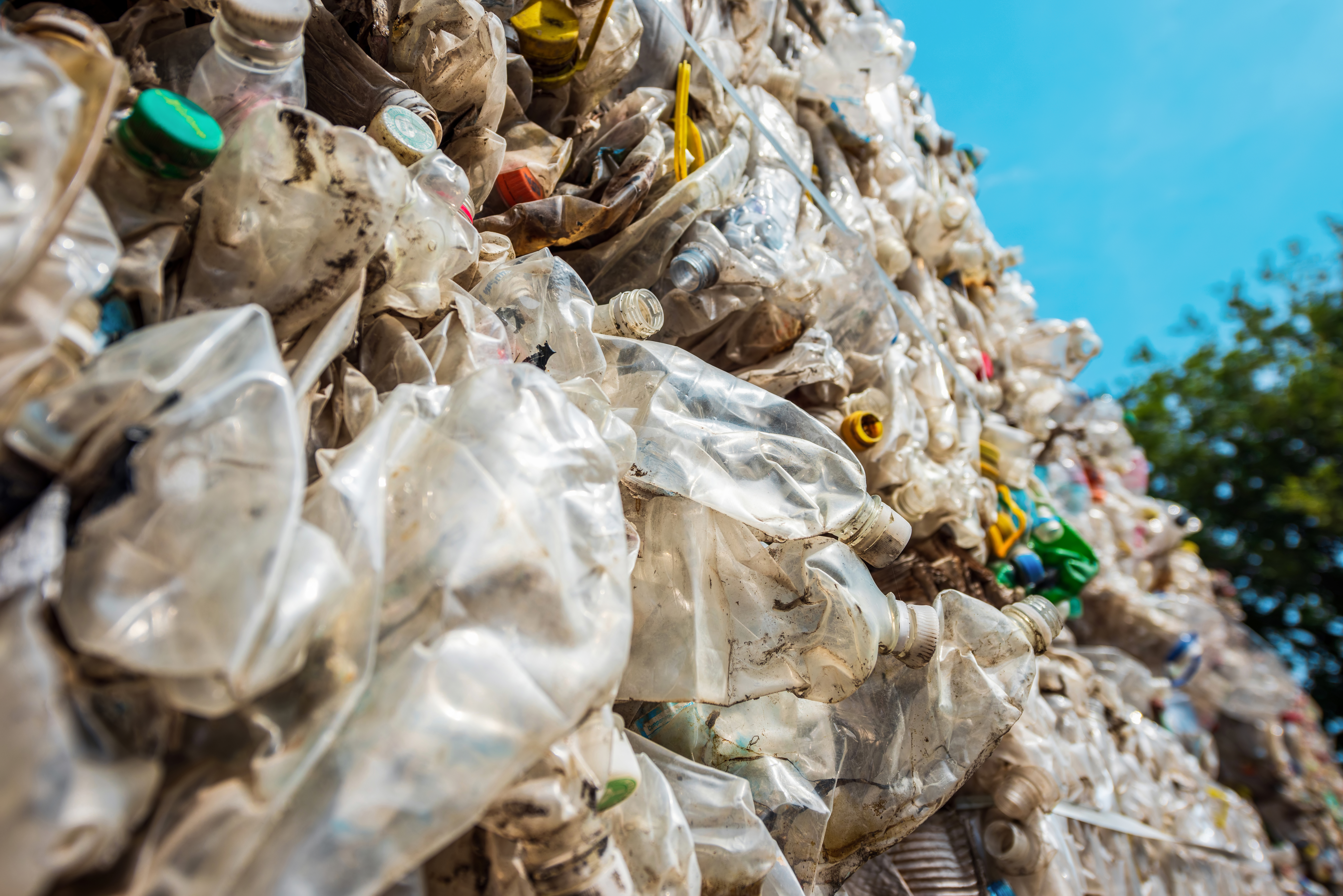 Turning Waste into Wealth—Every Single Day