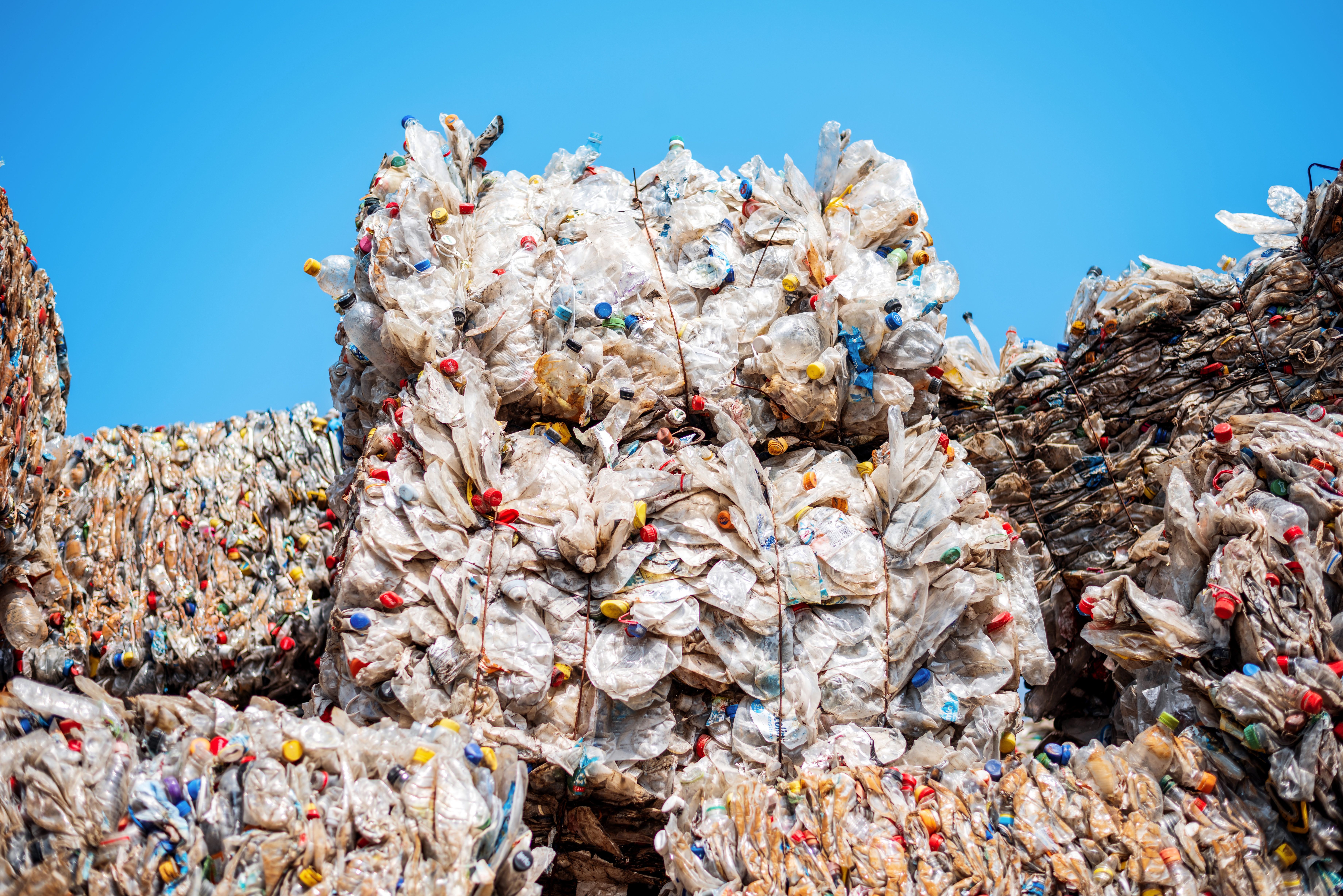 Turning Waste into Wealth—Every Single Day